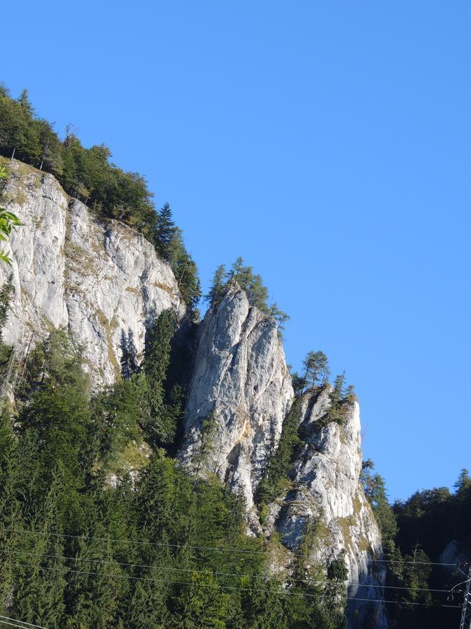 Penzión Borovica Stratená Exterior foto